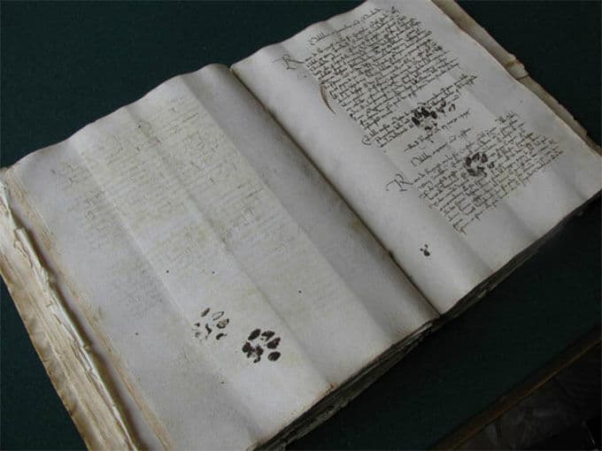 Cat Paw Prints on Manuscript